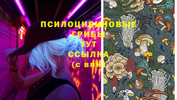 гашик Абинск
