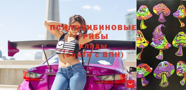 гашик Абинск
